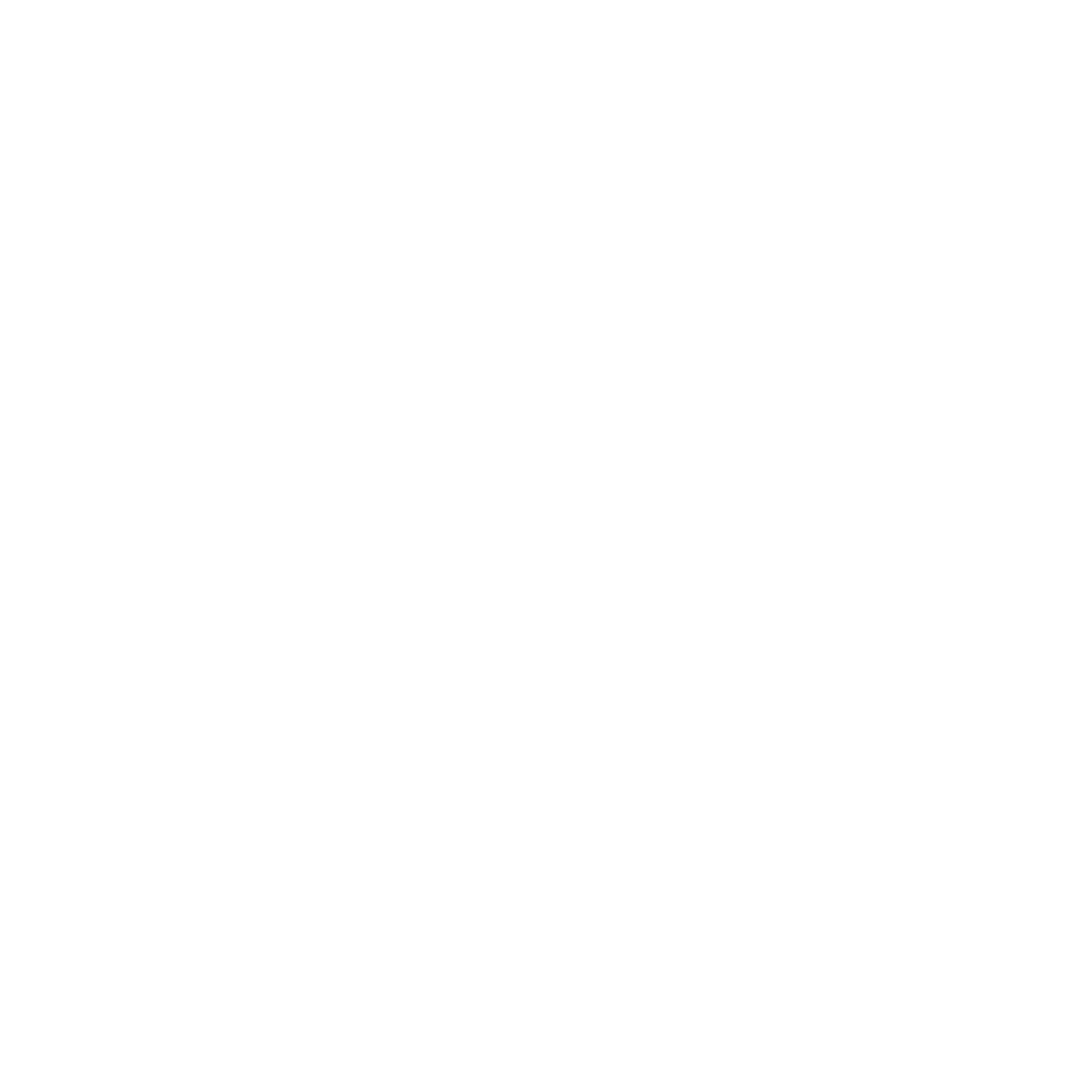 FOTS International School main logo